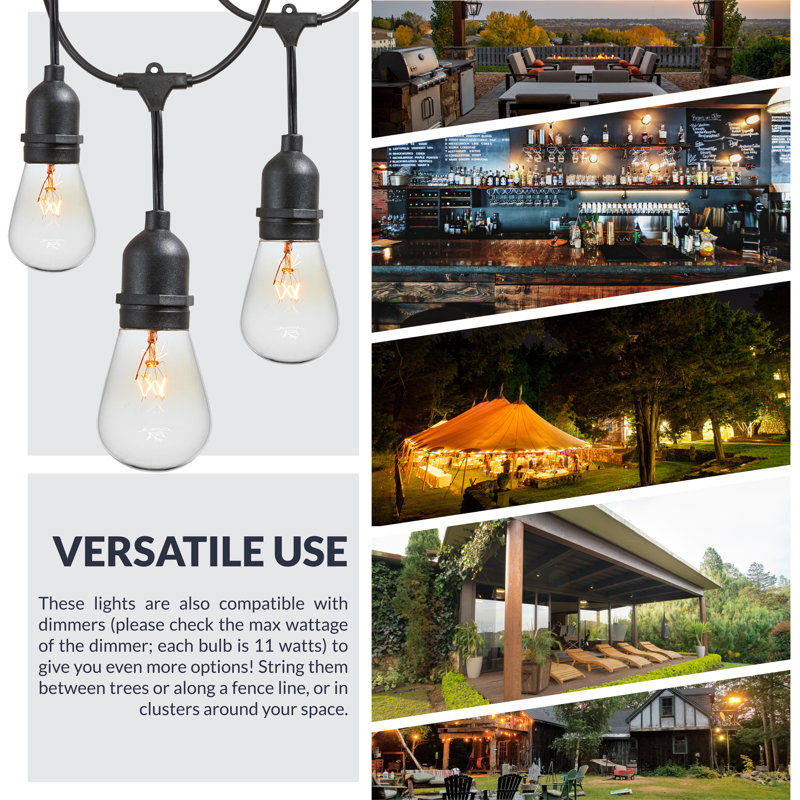 Joss & Main Taft Plug-In Outdoor String Lights & Reviews | Joss & Main
